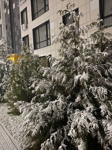 Купить 3-комнатную квартиру