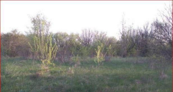 Купить  участок